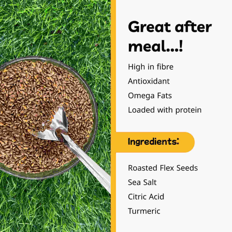 Ishaan FLAX SEEDS MUKHWAS FLAX Mouth Freshener