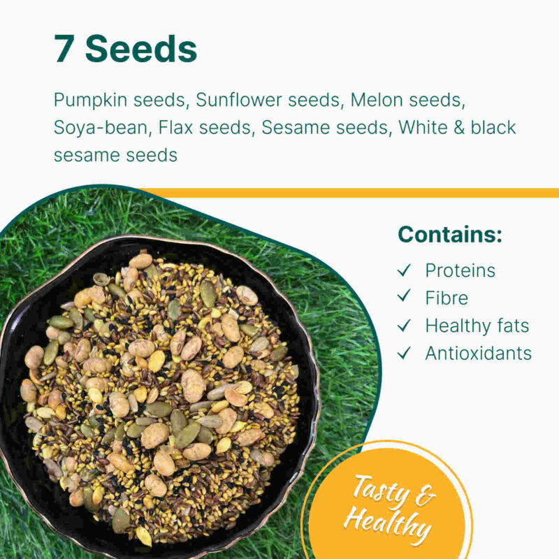 Ishaan 7 Seeds Mukhwas